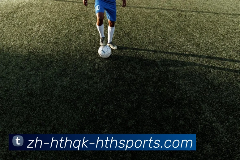 华体会平台生态图